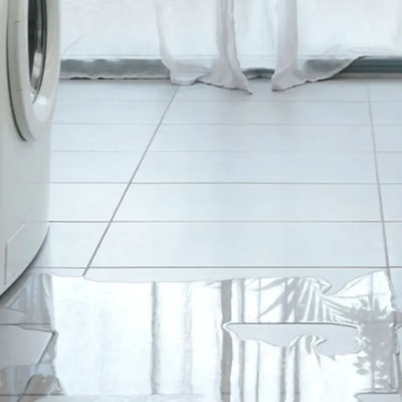 Appliance Leak Cleanup in Poydras, LA