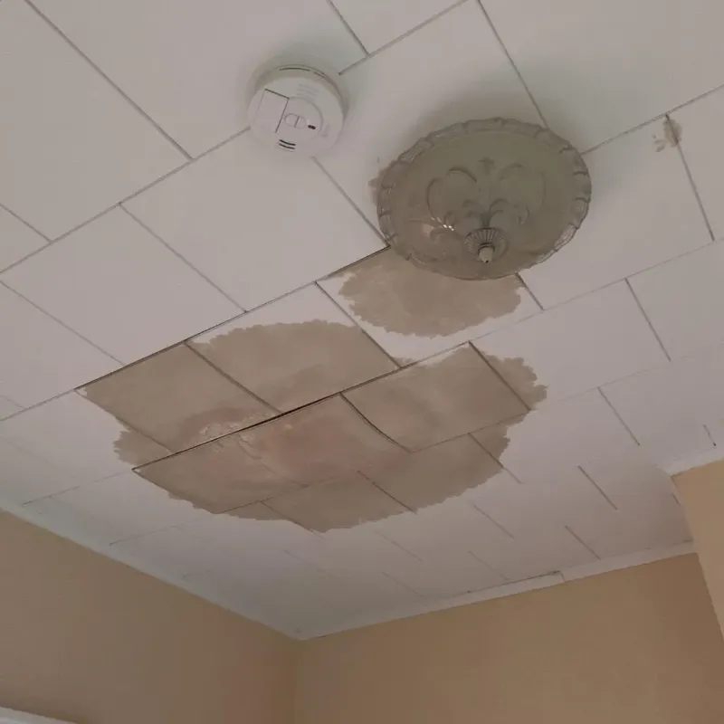 Ceiling Water Damage Repair in Poydras, LA